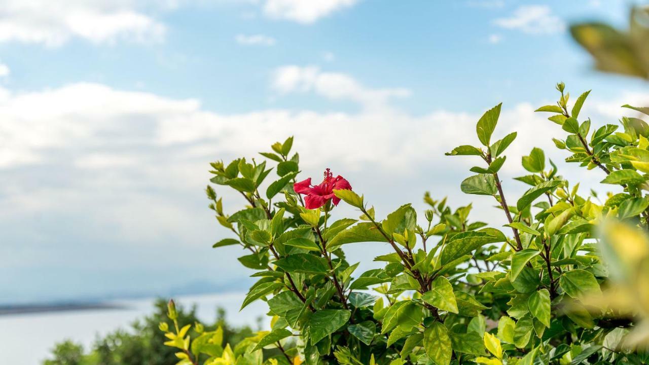 Villa Helen 200M From The Beach In Tersanas By Apokoronas-Villas エクステリア 写真